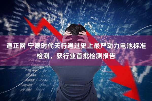 道正网 宁德时代天行通过史上最严动力电池标准检测，获行业首批检测报告