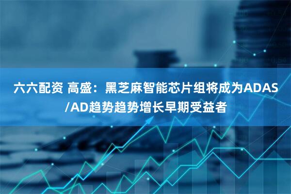 六六配资 高盛：黑芝麻智能芯片组将成为ADAS/AD趋势趋势增长早期受益者