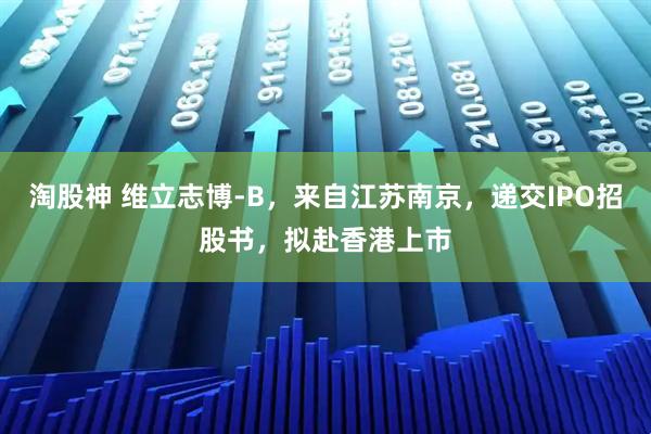 淘股神 维立志博-B，来自江苏南京，递交IPO招股书，拟赴香港上市