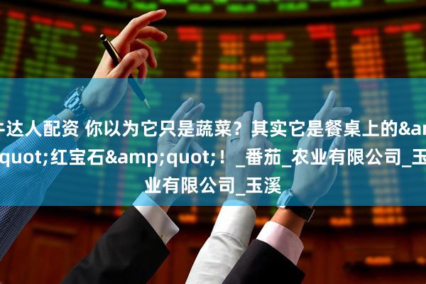牛达人配资 你以为它只是蔬菜？其实它是餐桌上的&quot;红宝石&quot;！_番茄_农业有限公司_玉溪