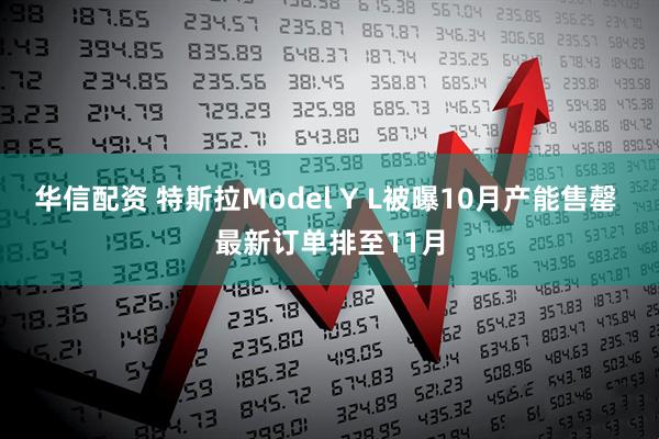 华信配资 特斯拉Model Y L被曝10月产能售罄 最新订单排至11月
