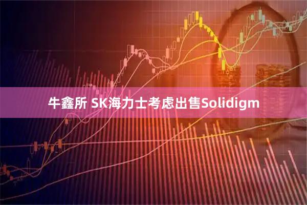 牛鑫所 SK海力士考虑出售Solidigm