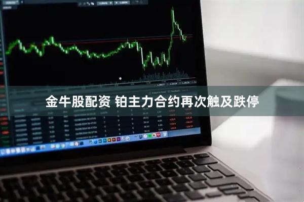 金牛股配资 铂主力合约再次触及跌停