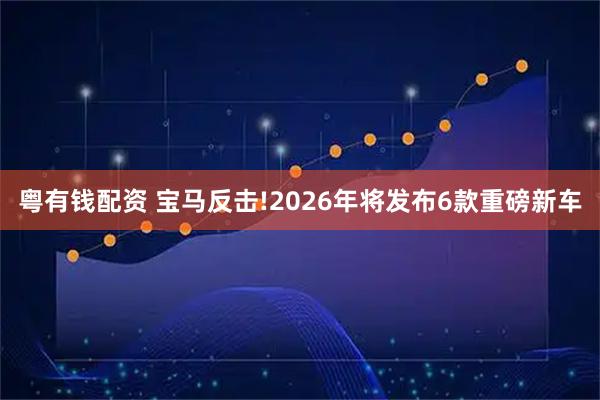 粤有钱配资 宝马反击!2026年将发布6款重磅新车